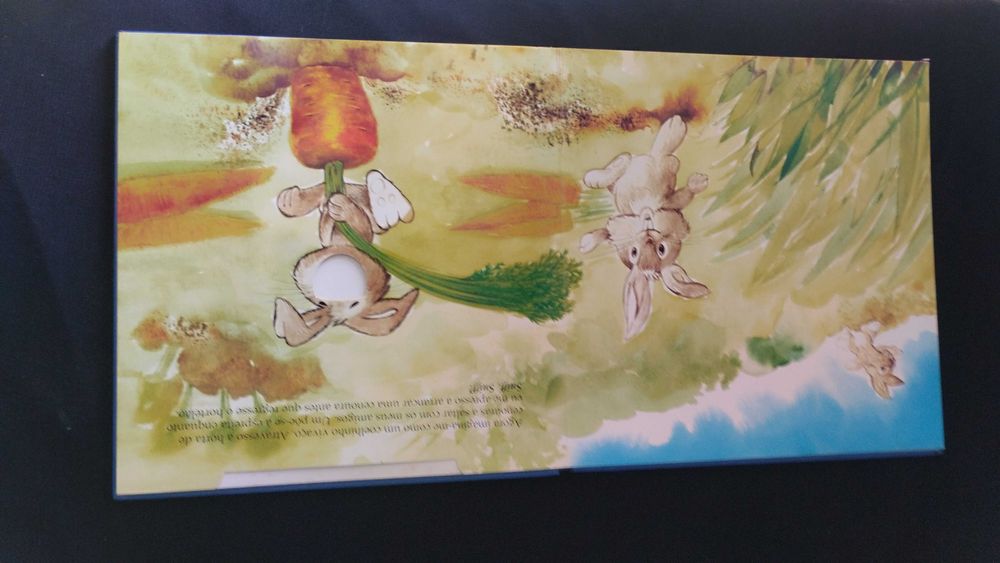 Livro de crianças com desenhos para pôr fotos da criança 15 euros