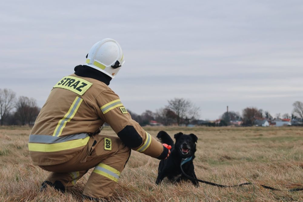Magia świąt potrzebna