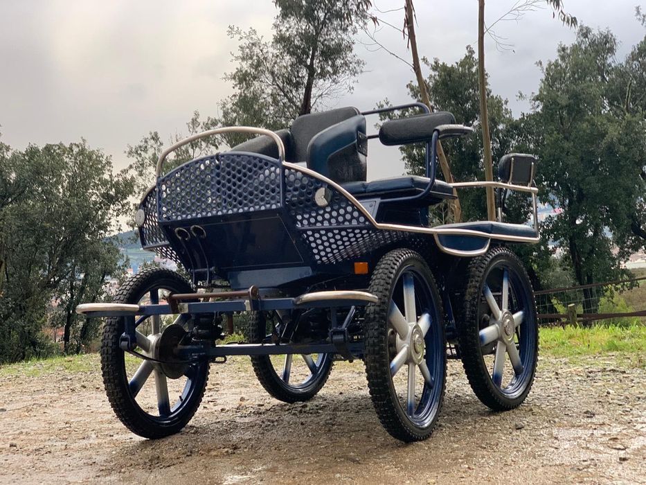 Charrete Maratona Suspensão Pneumática