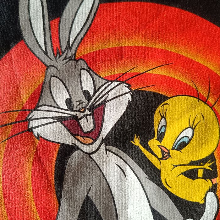 Długa, ciepła bluza Bugs Bunny, Tweety, looney tunes
