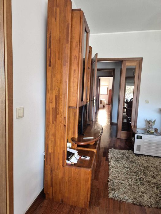 Móvel TV (televisão) - Cerejeira