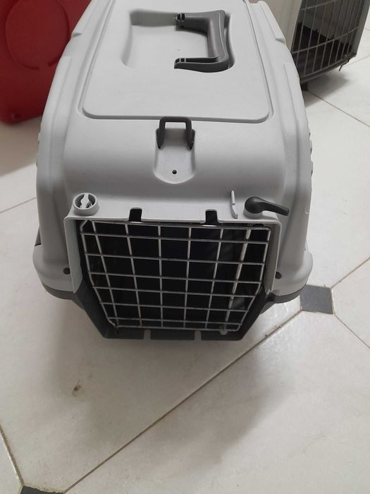 Transportadoras de gato