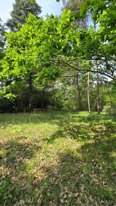 Działka budowlana w pierwszej linii brzegowej rzeki Bug w  Arciechowie