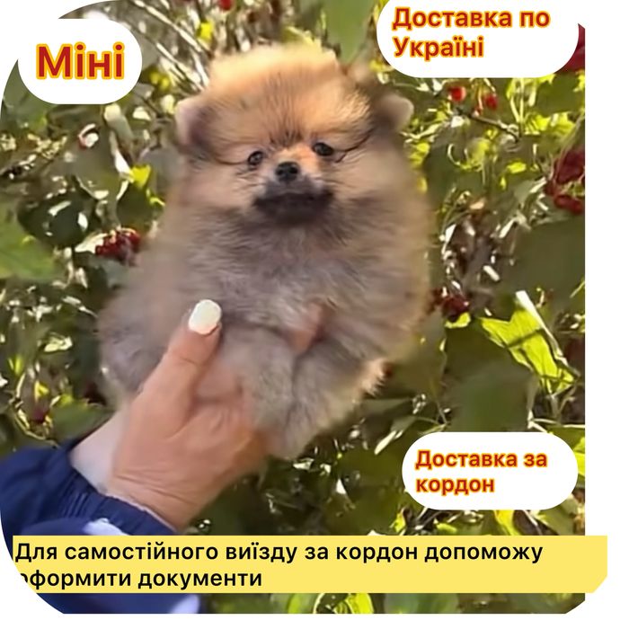 !!Vip!Та яка принесе щастя в Вашу сімью!