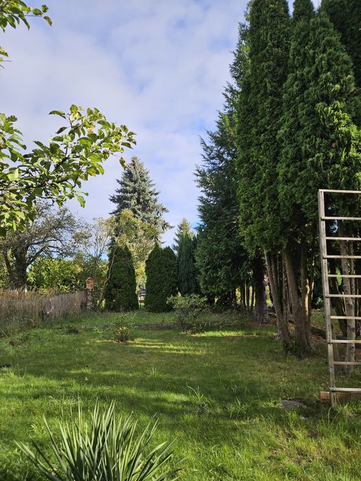 Na sprzedaż działka ROD KRZEKOWO - Widok 5