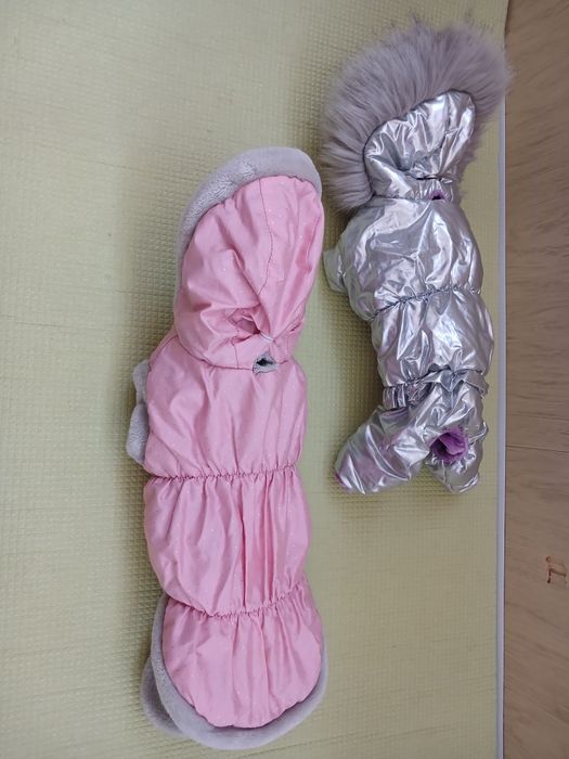 Одежда для собачки