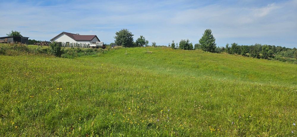 Działka o powierzchni 3000 m² z warunkami zabudowy, Mazury, Stare Juchy - Widok 2