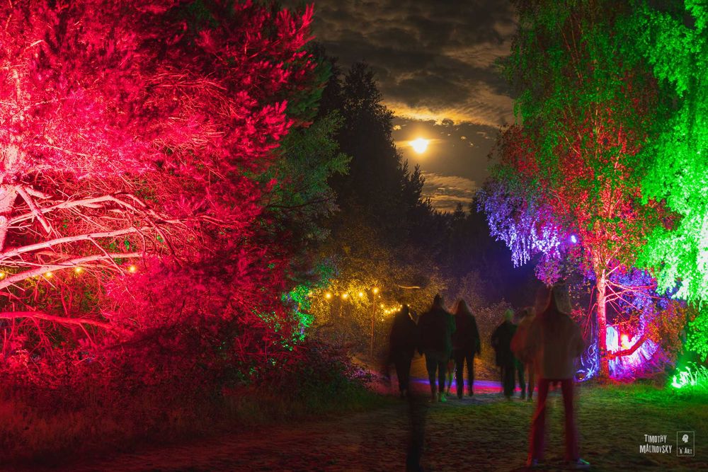Wynajem nagłośnienia i oświetlenia Obsługa imprez , sala oraz plener
