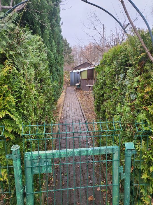 Działka Rodo okazja 300m