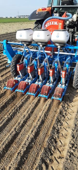 Usluga siewu cebuli, marchwi i pietruszki