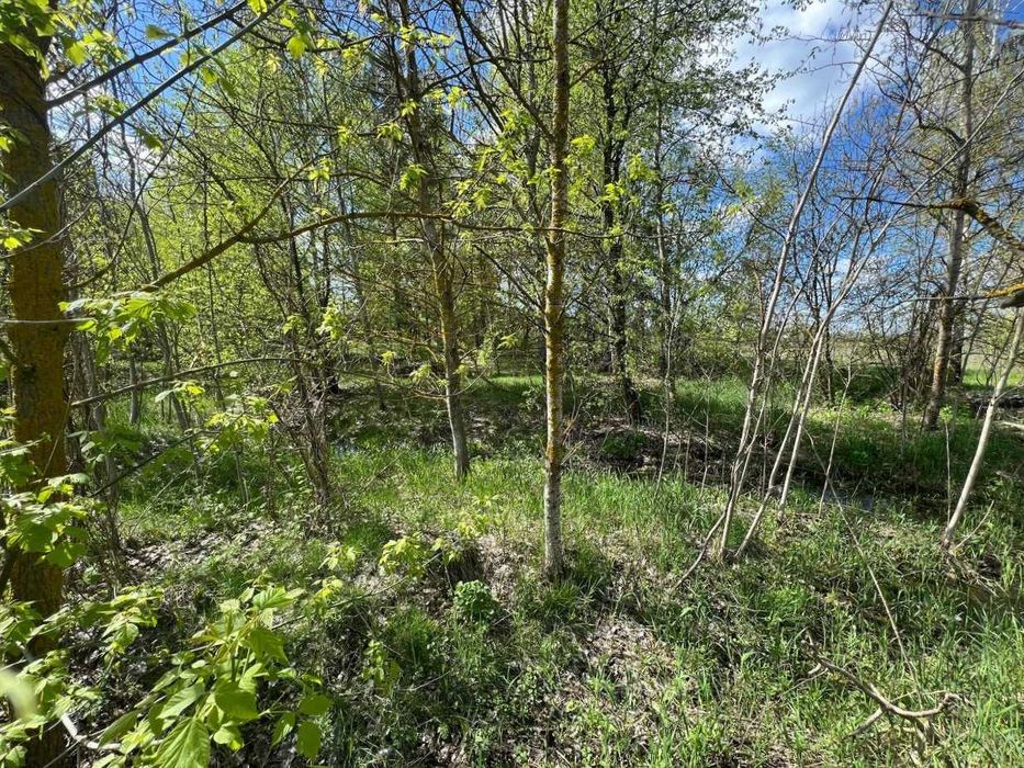 Продаж ділянки 25 соток для будівництва. Поряд озеро. ID:405