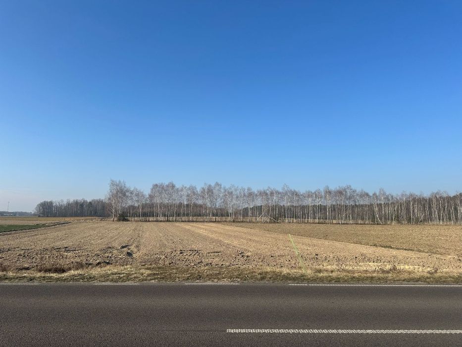 Działka budowlana/inwestycyjna Siedliska obok Wojcieszkowa