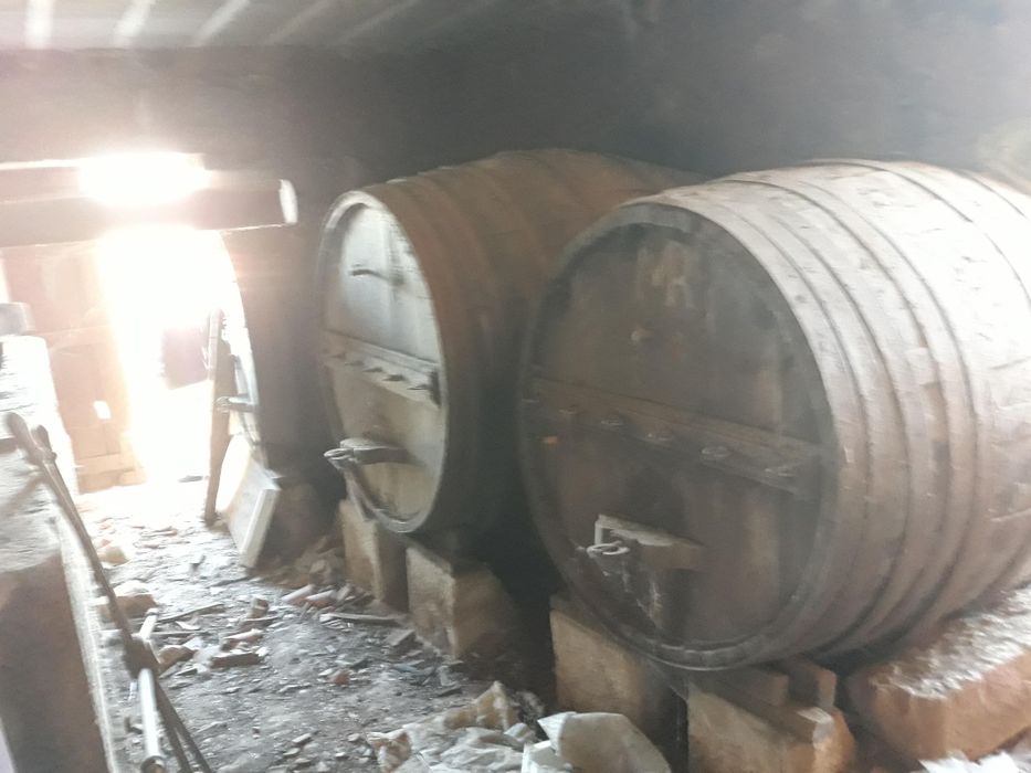 Vendo terreno e casa em Armamar, Queimada