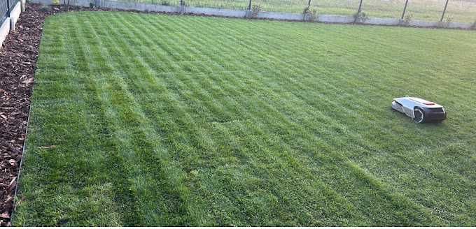 Zakładanie Ogrodów / Aeracja Wertykulacja / Trawa z rolki