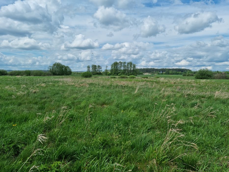 Oddam łąkę do skoszenia Giedajty
