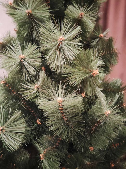 Новогодняя елка сосна 1,5м. Новорічна ялинка