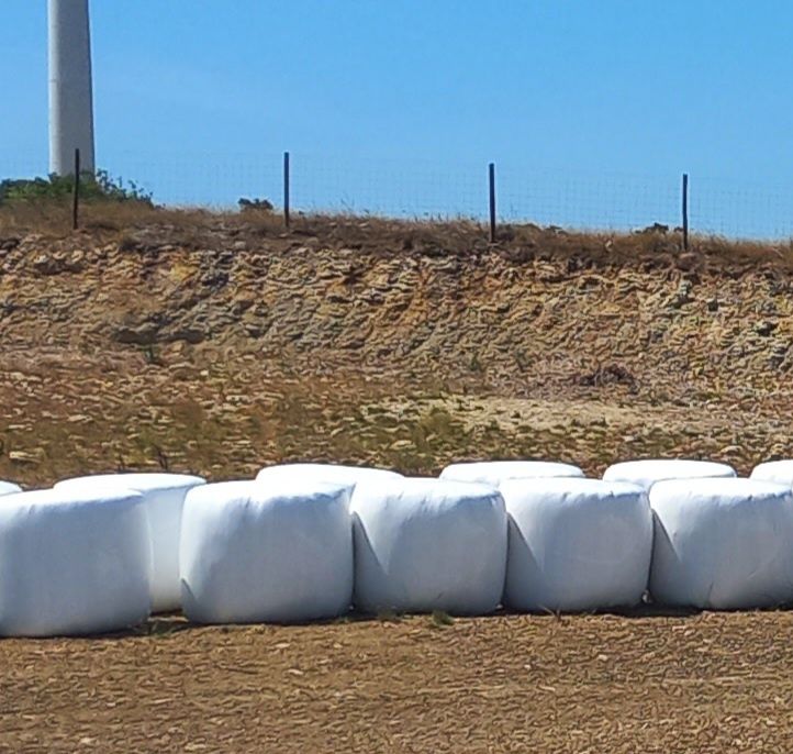 Rolos de feno silagem