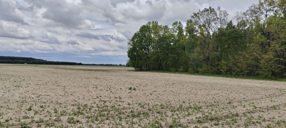 Земельна ділянка 27 га! Андріївка.