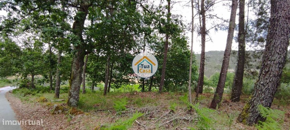 Terreno Rústico em Aguiar da Beira — Aguiar Da Beira E Coruche, Guarda