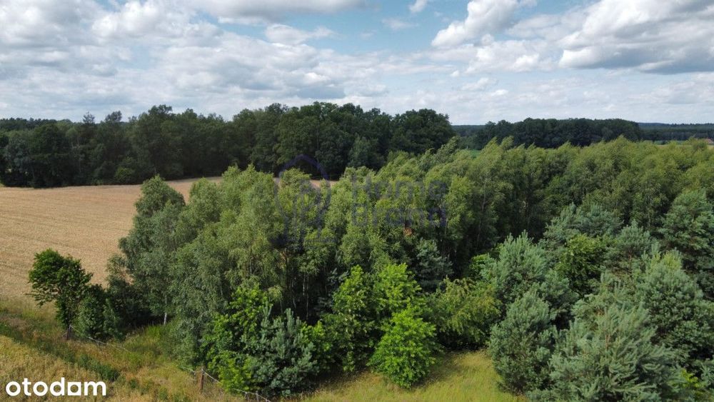 Działka budowlana 1480 m2 | Drołtowice