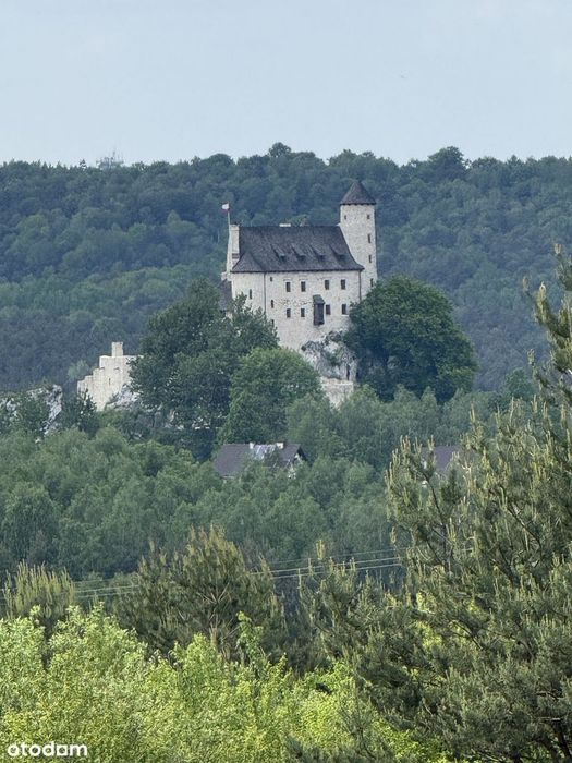 BOBOLICE | 1,146 ha | Widok na Zamek Bobolice i Mirów | Media | Asfalt