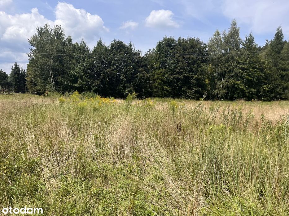 Radziszów, Podlesie | działka 817 m² | wjazd prosto z asfaltu - Widok 5