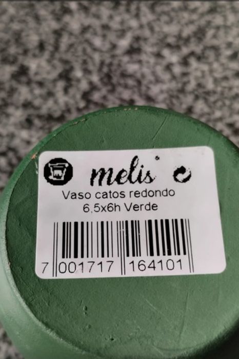 Plantas e vasos vários