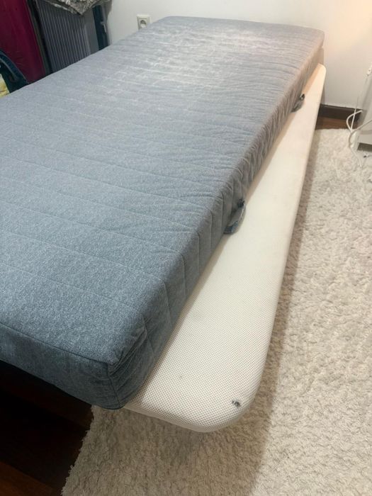 Base e colção por 50€