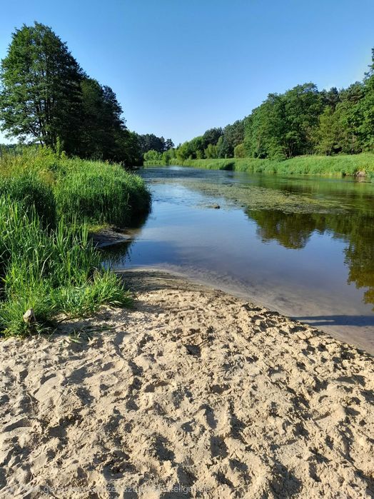 Dom letniskowy w lesie  nad Wkrą, 60km od W-wy.