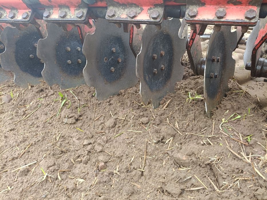 Brona talerzowa maschio presto amazone lemken mandam agromasz