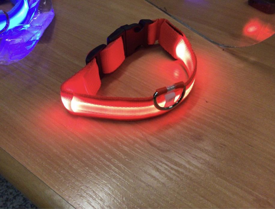 Coleira De Cão Led64751791617666121