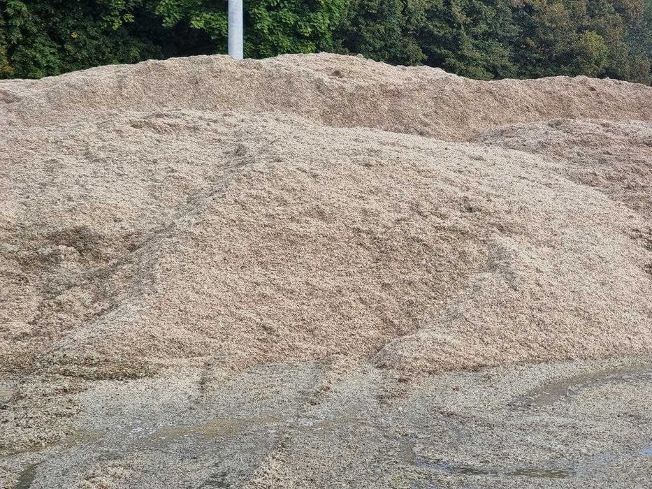 Wysłodki buraczane – stałe dostawy, duże ilości