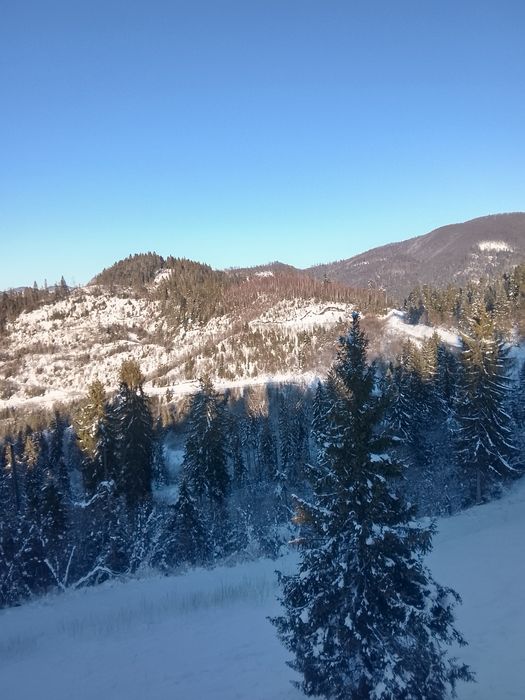 Продається земельна ділянка