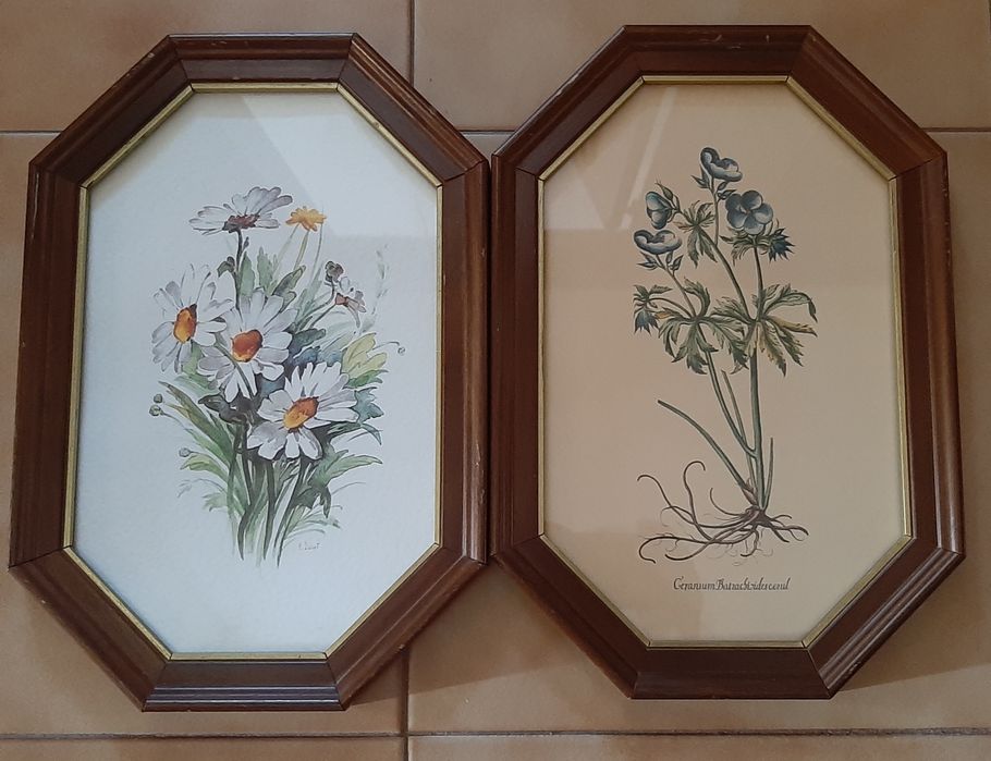 Elegant Vintage Frames64343220728961120