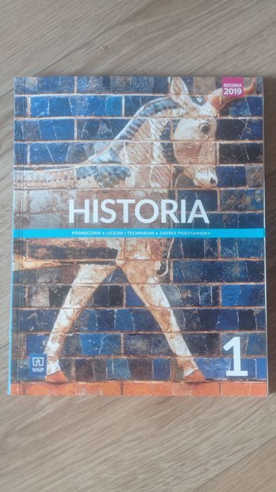 Podrecznik historia 1