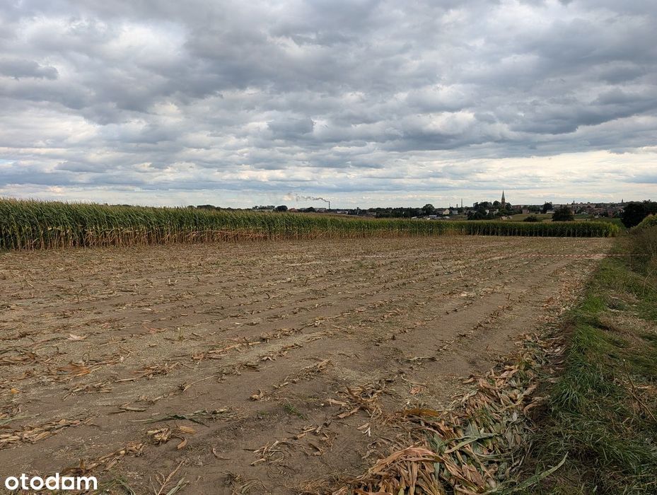Działka budowlana - Piekary Śląskie ul. Szybowa !! 2 OSTATNIE - Widok 4