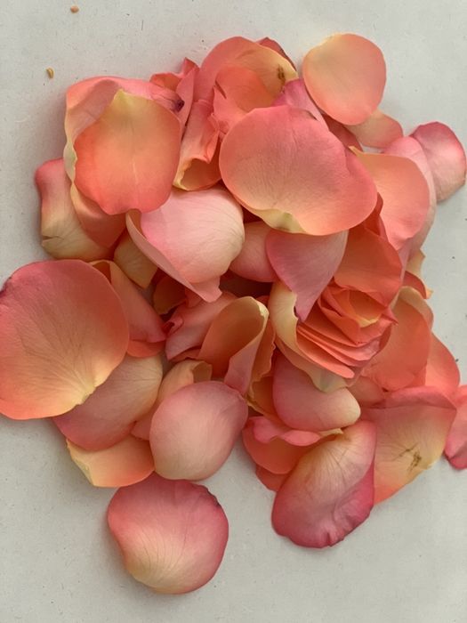 Пелюстки троянд (свіжої троянди)