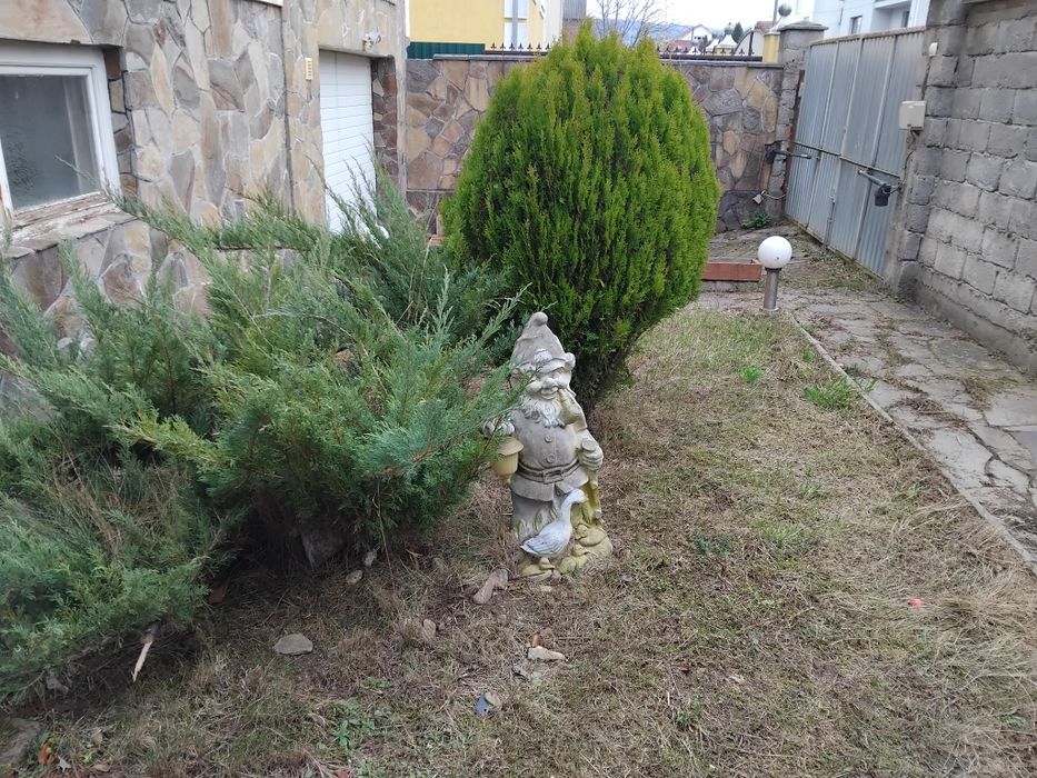 Продаю будинок у тихому куточку Свалява