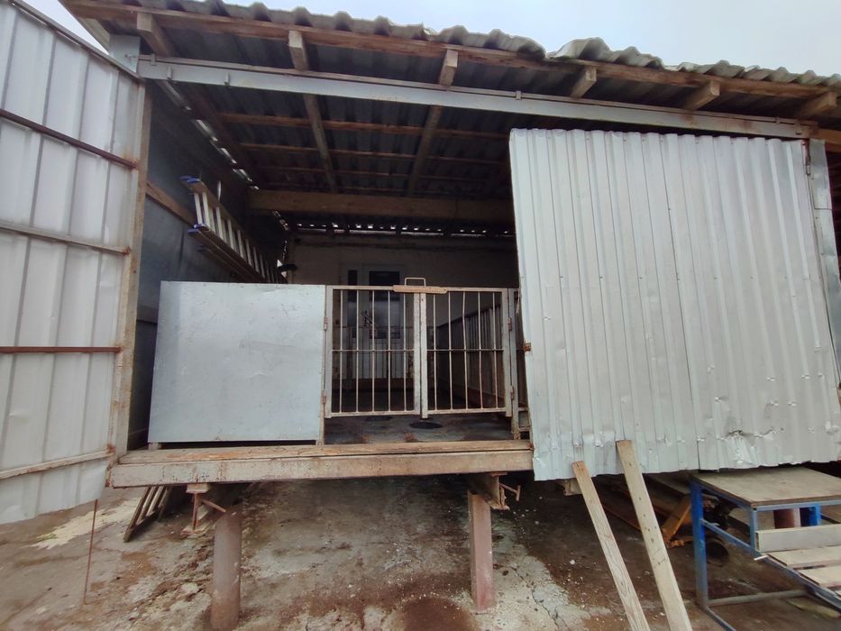 Продаж Діючої Свиноферми!