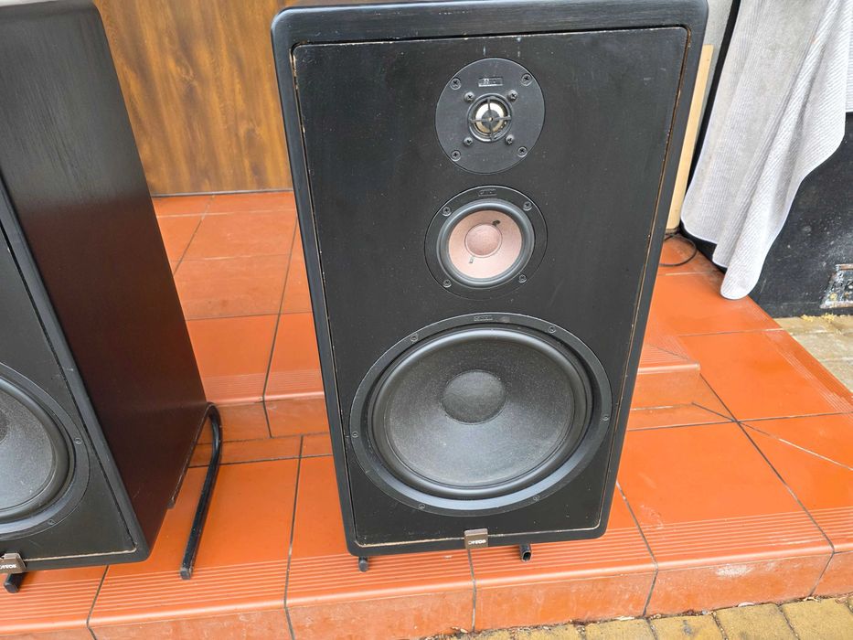 mega bas canton ct1000 mk2