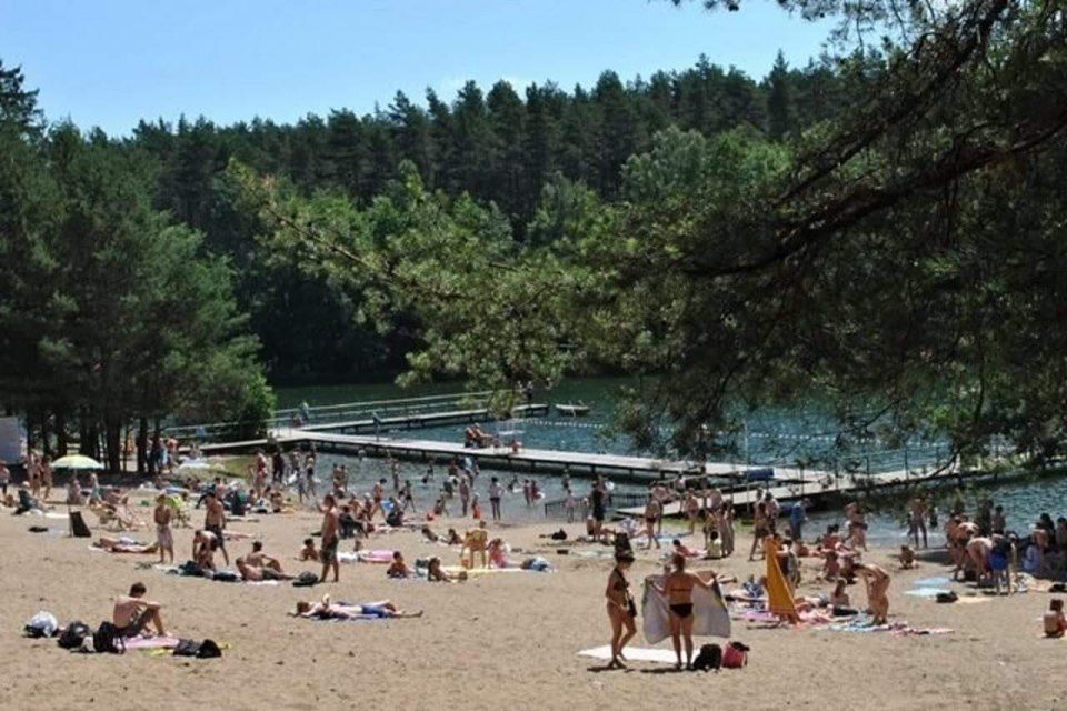 Wynajmę  domek letniskowy 8 osobowe w Skarszewach