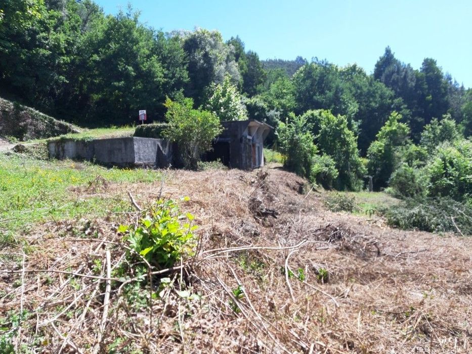 Terreno Agrícola - Bouro Sta Maria