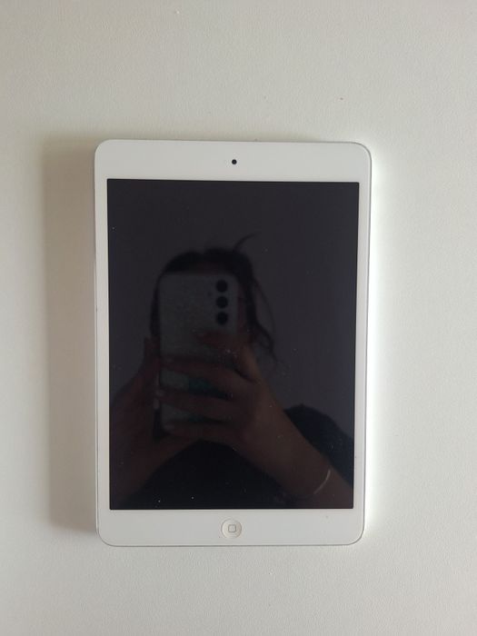 iPad mini wi-fi 16gb silver427550724776929281