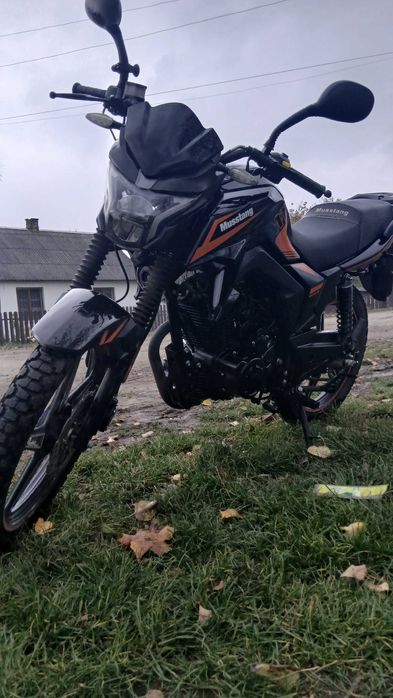 Мустанг регіон 250