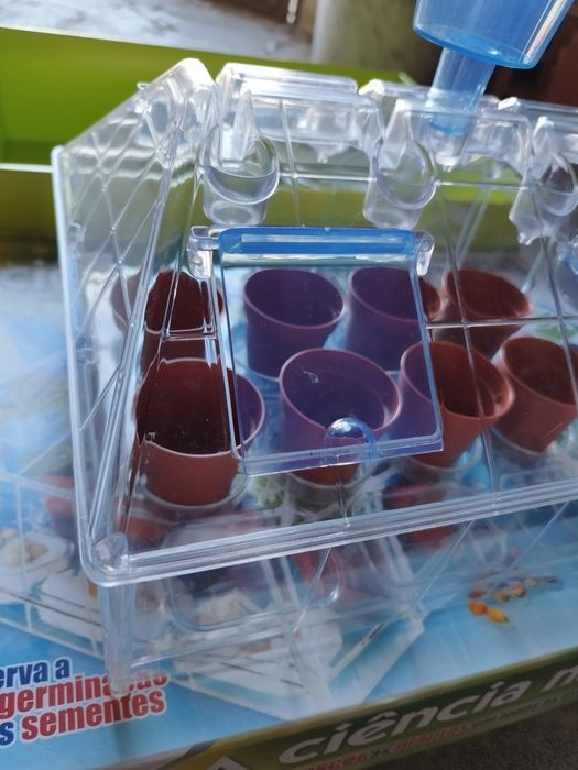Jogo ciência na estufa