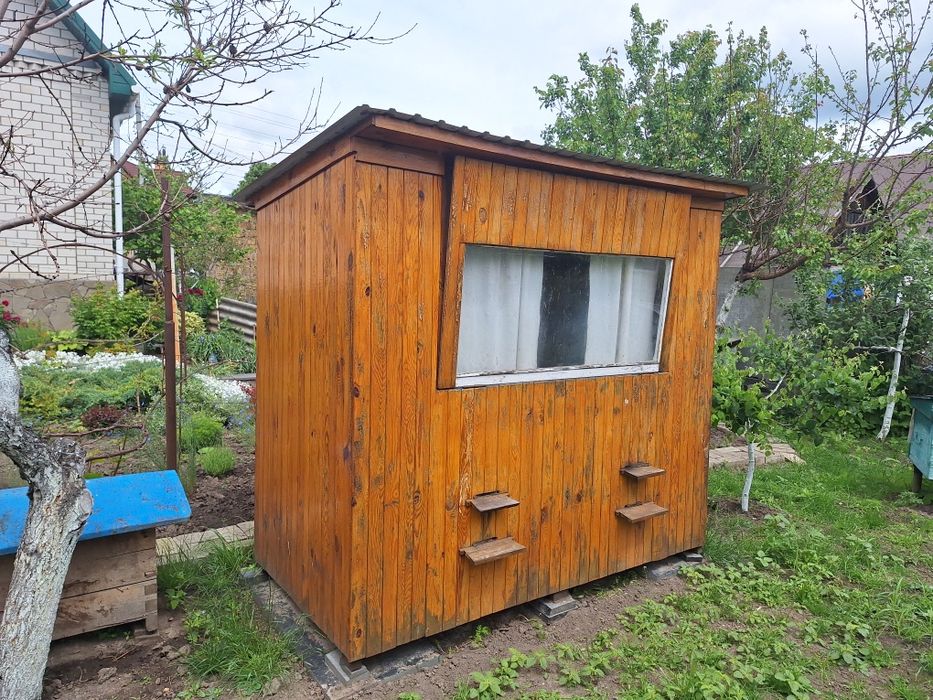 Апібудиночок (сон на бджолах)