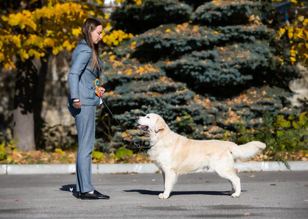Чемпіон для в‘язки! КСУ-FCI