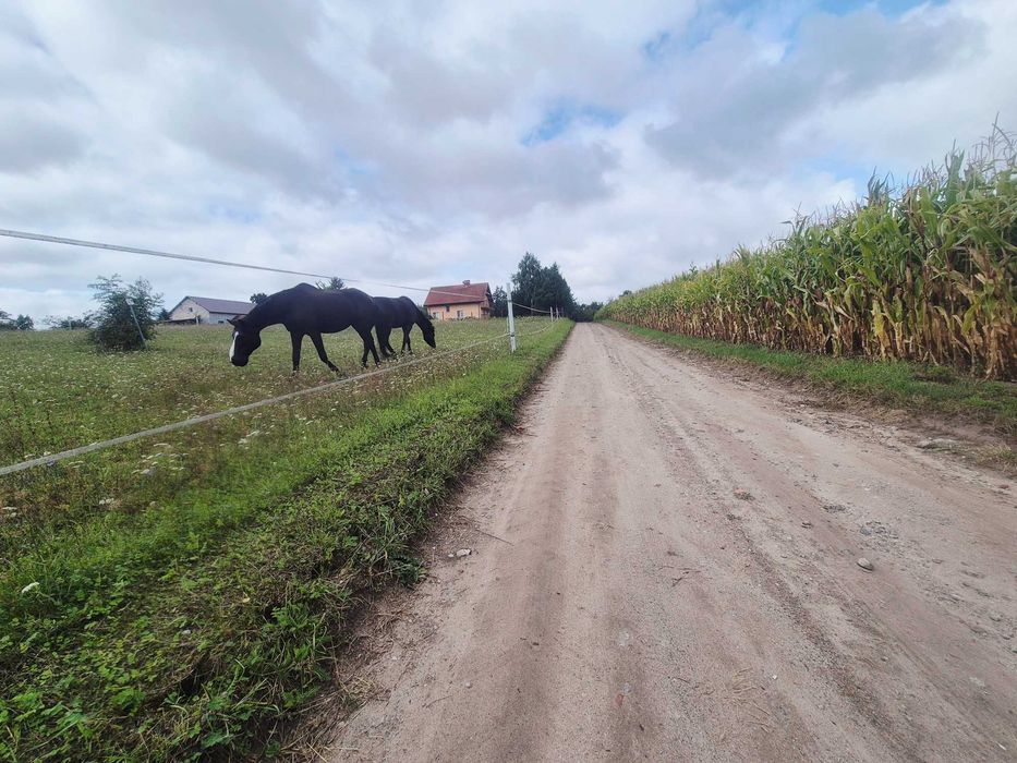 Działka z Warunkami Zabudowy Gościeradz 1815 m² - Widok 2