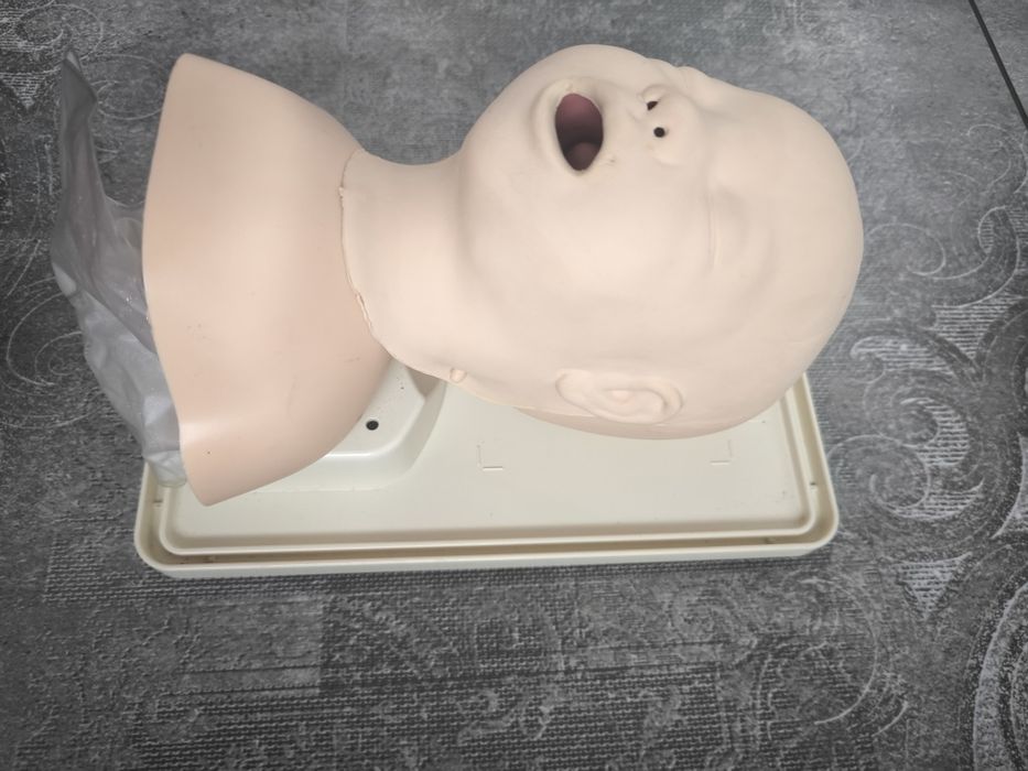 Laerdal dziecięca głowa do intubacji