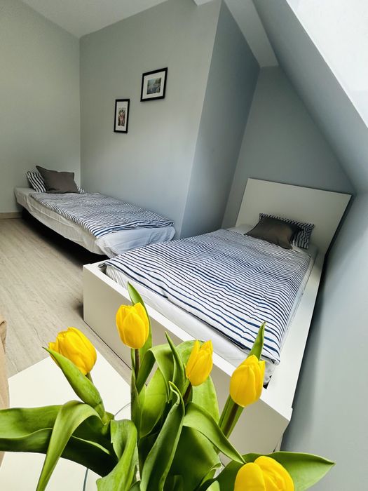Centrum Karpacza Apartament Leonos z widokiem na Śnieżkę od 05.03